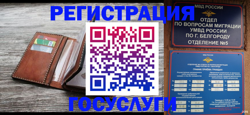 временная регистрация гарантия в Мурманске